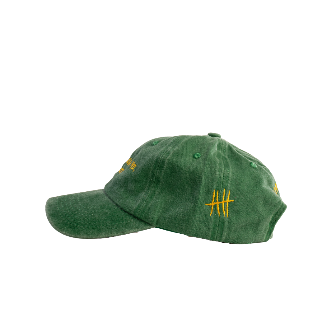 Don't Follow me, I'm Lost - Cap - Green | Lost Days